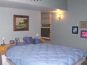 14669 Tomahawk Ln, Big Rapids, MI 49307 photo 14