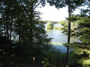 11618 Alling Rd, Plainwell, MI 49080 photo 2