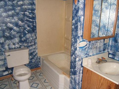 834 109th Ave, Plainwell, MI 49080 photo 7