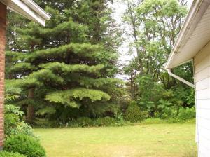 1495 E Main St, Edmore, MI 48829 photo 12