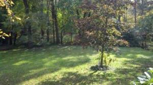 12658 E C Ave, Augusta, MI 49012 photo 4