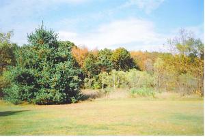 4561 Berlin, Reading, MI 49274 photo 21