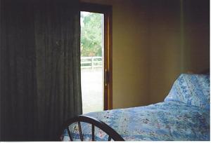 4561 Berlin, Reading, MI 49274 photo 8