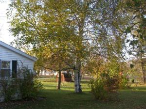 204 E Main St, Walkerville, MI 49459 photo 23