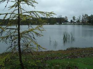 1421 Sunset, Reading, MI 49274 photo 11