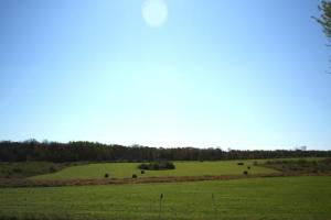 4545 9 Mile Rd, Remus, MI 49340 photo 12
