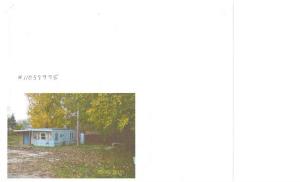 58616 Ash, Three Rivers, MI 49093 photo 1
