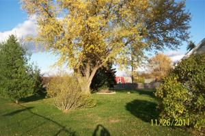 23934 Jefferson Ctr, Cassopolis, MI 49031 photo 7