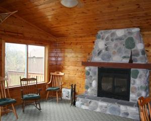 916 W Ellis Ave, Belding, MI 48809 photo 6