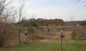916 W Ellis Ave, Belding, MI 48809 photo 2