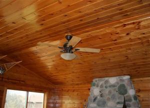 916 W Ellis Ave, Belding, MI 48809 photo 7