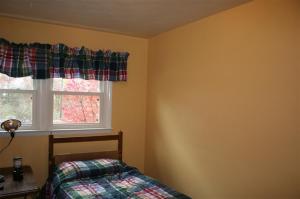 916 W Ellis Ave, Belding, MI 48809 photo 12