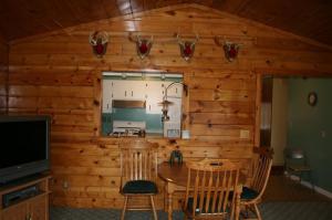 916 W Ellis Ave, Belding, MI 48809 photo 8