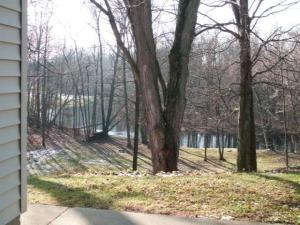 8987 Loop Rd, Hesperia, MI 49421 photo 16