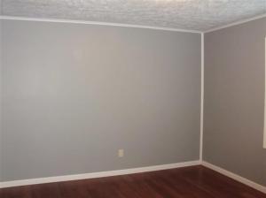 8987 Loop Rd, Hesperia, MI 49421 photo 8