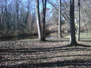 8987 Loop Rd, Hesperia, MI 49421 photo 12