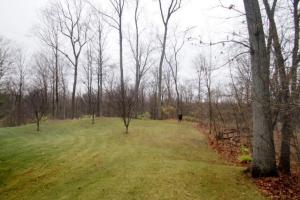 7974 Foxboro Ln, Augusta, MI 49012 photo 22