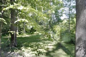 13307 M-60, Three Rivers, MI 49093 photo 20