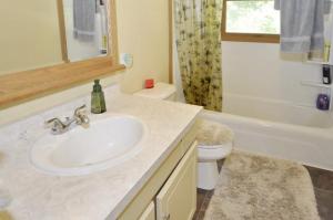 13307 M-60, Three Rivers, MI 49093 photo 10