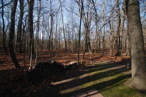 549 Adapointe Dr SE, Ada, MI 49301 photo 21