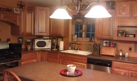 4179 Jackson, Saranac, MI 48881 photo 14