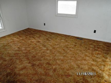 4152 E Ave, Kalamazoo, MI 49004 photo 5