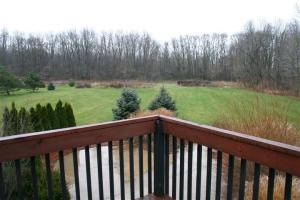 3564 Maple Leaf Ln, Hamilton, MI 49419 photo 4