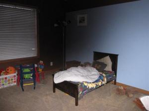 10110 S Walnut, Grant, MI 49327 photo 11