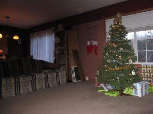 10110 S Walnut, Grant, MI 49327 photo 5