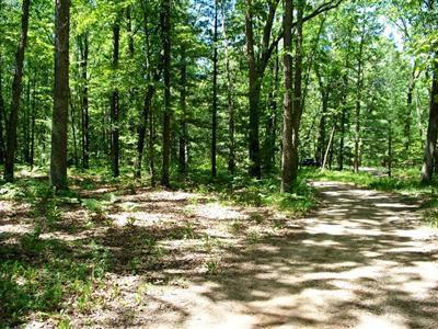 1716 W Beaver Rd, Bitely, MI 49309 photo 14