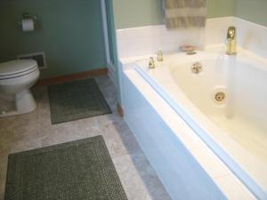 116 W Gordon Ave, Grant, MI 49327 photo 16