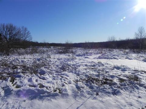 13870 E Rs, Scotts, MI 49088 photo 16