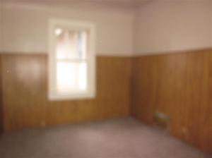 322 State Rd, Belding, MI 48809 photo 7