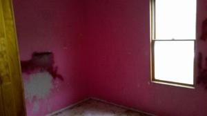 304 Reynolds Rd, Springfield, MI 49037 photo 8
