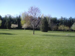 1096 11th St, Plainwell, MI 49080 photo 21
