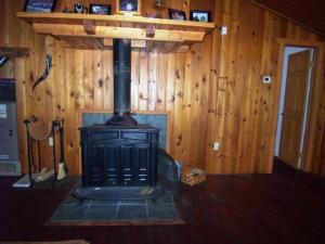 8656 Peninsula St, Evart, MI 49631 photo 10