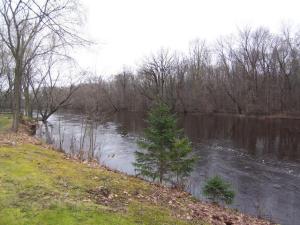 8656 Peninsula St, Evart, MI 49631 photo 2