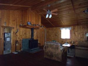 8656 Peninsula St, Evart, MI 49631 photo 7