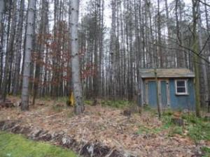 5259 S Willow Ave, Newaygo, MI 49337 photo 9