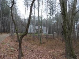 5259 S Willow Ave, Newaygo, MI 49337 photo 10