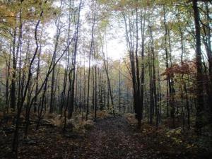 6178 Becht Rd, Coloma, MI 49038 photo 22