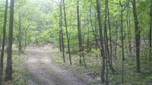 6178 Becht Rd, Coloma, MI 49038 photo 17