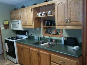 112 N 56th Ave, Mears, MI 49436 photo 5