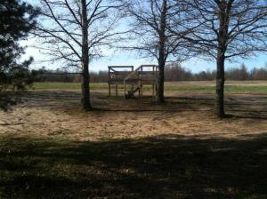 112 N 56th Ave, Mears, MI 49436 photo 4