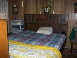9104 Mack Rd, Baldwin, MI 49304 photo 8