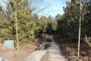 3366 N Luce Ave, White Cloud, MI 49349 photo 5
