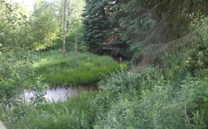 3366 N Luce Ave, White Cloud, MI 49349 photo 21