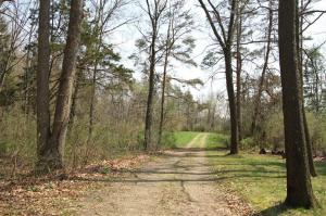 10811 E Op Ave, Scotts, MI 49088 photo 2