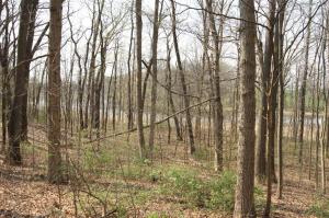 10811 E Op Ave, Scotts, MI 49088 photo 17
