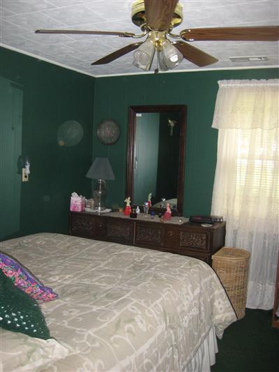 325 Fourth St, Trufant, MI 49347 photo 5